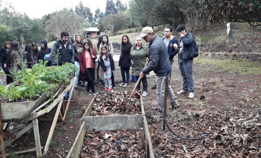 ações meio ambiente