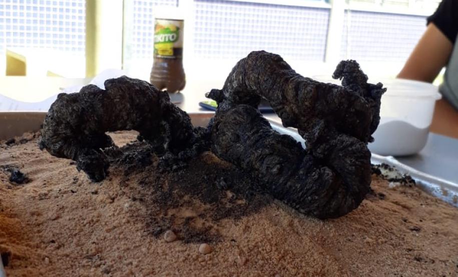 Feira do Conhecimento - C.E. Professores Edvaldo e Maria Janete Carneiro