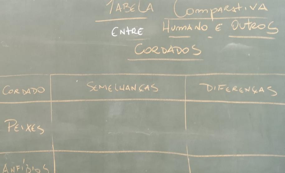 Estudando as estruturas do corpo humano sob o prisma evolutivo: prática dos alunos do C.E. Bibiana Bitencourt.