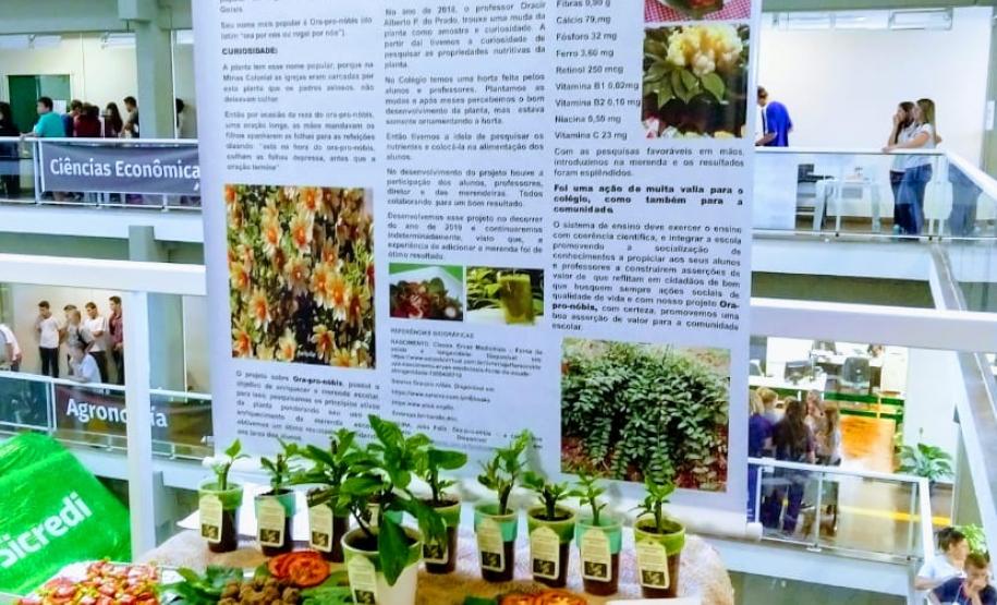 Alunos do C.E. do Campo de Lagoa Seca participam de Feira de Ciências da UFFS, Campus Laranjeiras do Sul.