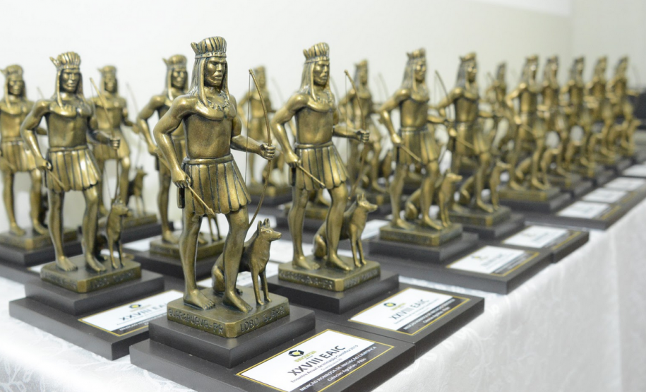 Colégios de Guarapuava recebem menção honrosa de Iniciação Científica da UNICENTRO