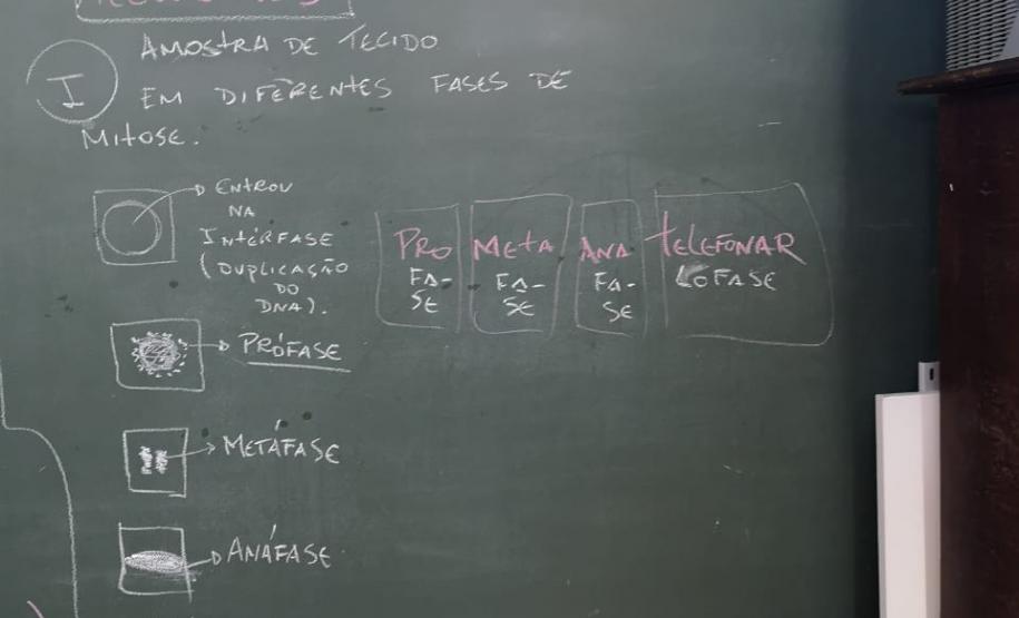 Aula prática de citologia: uma experiência dos alunos do C.E. Rui Barbosa