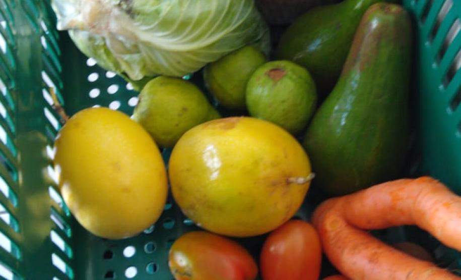 Merenda Escolar será entregue para famílias de alunos.