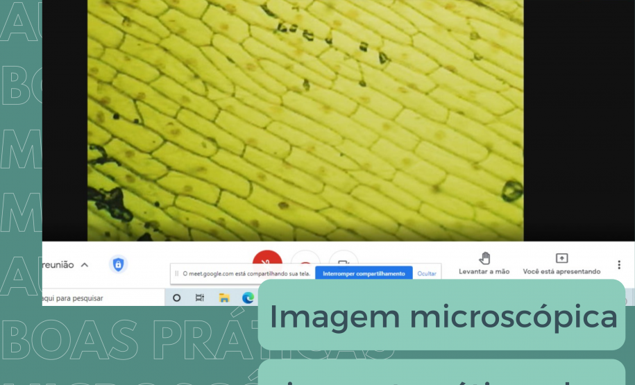 Aula de microscopia